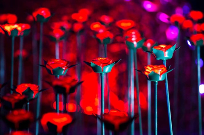 情人节，周庄归你，你归我！